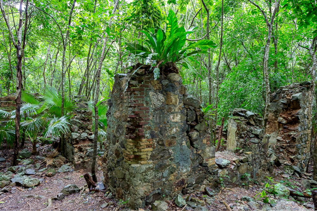 St John Sugar Plantation Ruins, Reef Bay Trail